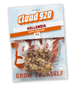 Hollandia Magic Truffels kaufen - Happy Hardcore Trüffel | 15g