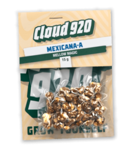 Mexicana-A Trüffel kaufen - Mellow Magic | Psilocybe mexicana