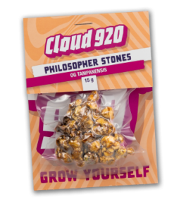 Philosopher Stones kaufen | Tampanensis Trüffel