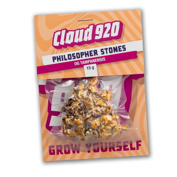 Philosopher Stones kaufen | Tampanensis Trüffel