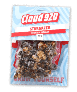 Stargazer Magic Truffeln kaufen Deutschland