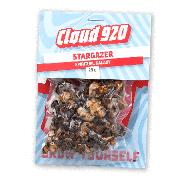 Stargazer Magic Truffeln kaufen Deutschland