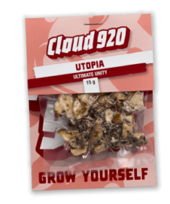 Utopia Magic Truffels kaufen | Starke Trüffel | Psilocybe mexicana