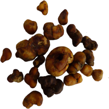 Atlantis Magic Truffels kaufen - Astral Awareness Trüffel